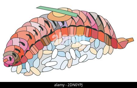 Nigiri di salmone a zentangle disegnati a mano per t-shirt e altre decorazioni Illustrazione Vettoriale