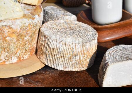 Formaggio di capra artigianale circondato da altri tipi di formaggio e yogurt. Foto Stock