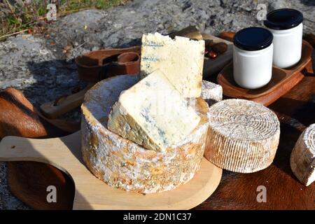 Campionatore di formaggi artigianali con tavola con pezzi di formaggio blu sulla parte superiore e yogurt sullo sfondo. Foto Stock