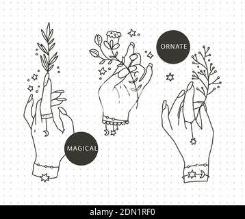 Set di logo vettoriali per fiori con supporto a mano. Disegno della linea della mano della donna. Disegno floreale ornato con pianta in stile lineare di contorno. Illustrazione Vettoriale