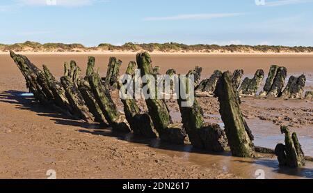 I resti in legno del relitto del barbecue norvegese SS Nornen (1897) sulla spiaggia di Berrow Flats a Somerset, Inghilterra, Regno Unito a bassa marea. Foto Stock