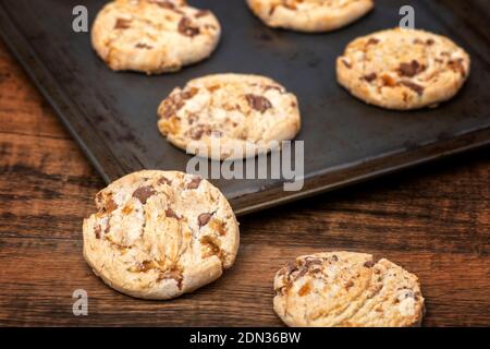 i biscotti di scheggia choclate appena sfornati su una prova di cottura, fuoco selettivo Foto Stock