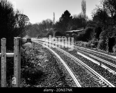 Binari ferroviari a Dilton Marsh Halt, vicino a Westbury, Wiltshire, Inghilterra, Regno Unito. Foto Stock