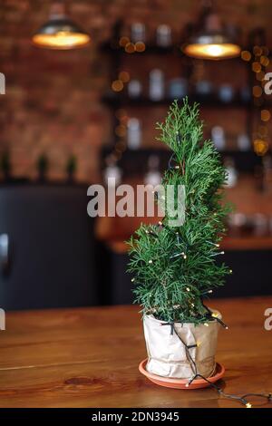 Small tree with garland in Stylish loft interior of kitchen with many lights. Concept of preparing Christmas Eve and New Year party, selective focus Stock Photo