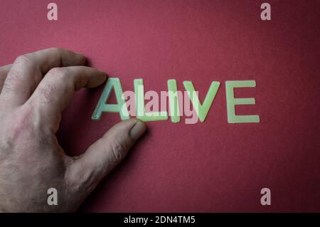 Dita umane che tengono la parola Alive scritta con lettere di plastica su sfondo di carta rosso scuro, concetto Foto Stock