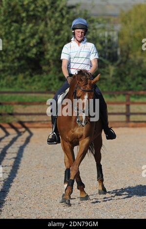 Un uomo che istruire un cavallo in una scuola esterna Foto Stock