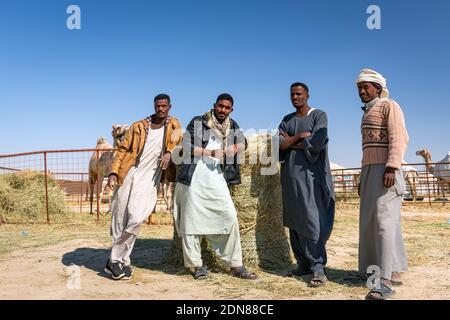 Il tradizionale Pastore dei cammelli si trova di fronte al cammello nell'area desertica di al Sarar - Arabia Saudita. 17 gennaio 2020. Foto Stock