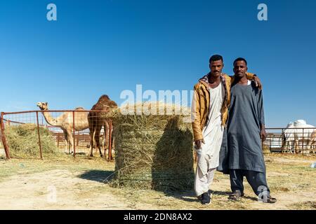 Il tradizionale Pastore dei cammelli si trova di fronte al cammello nell'area desertica di al Sarar - Arabia Saudita. 17 gennaio 2020. Foto Stock