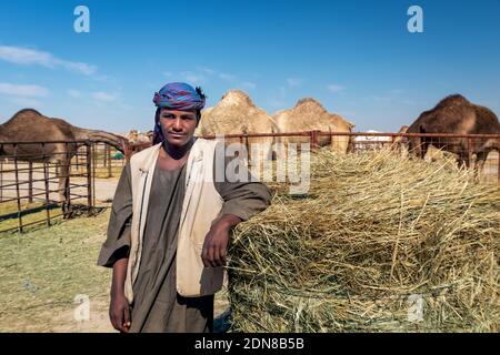 Il tradizionale Pastore dei cammelli si trova di fronte al cammello nell'area desertica di al Sarar - Arabia Saudita. 17 gennaio 2020. Foto Stock