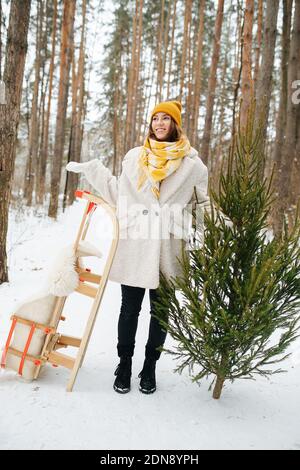 Ragazza con un albero di Natale e slitte in piedi nel foresta invernale Foto Stock