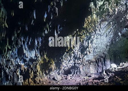 All'interno delle Grotte di Mantetzulel, San Luis Potosi, Messico Foto Stock