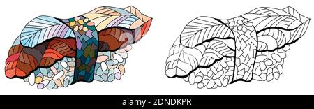 Nigiri a zentangle disegnati a mano con anguilla per t-shirt e altre decorazioni. Set di colori e contorni Illustrazione Vettoriale