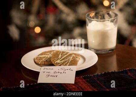 Latte e biscotti per Natale sfondo. Decorazione tradizionale di festa di Natale primo piano con illuminato albero di Natale. Foto Stock