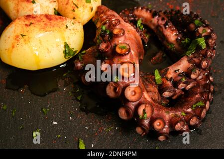 Tentacoli di polpo alla griglia con patate condite con paprika spagnola, olio d'oliva, prezzemolo e sale marino su una lastra nera e sfondo ricercato. Gourmet k Foto Stock