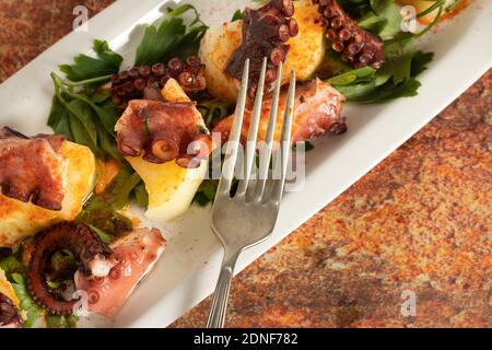 Vassoio allungato con polpo galiziano, con patate, paprika, olio d'oliva su fondo rustico di granito. Cucina etnica spagnola. Foto Stock