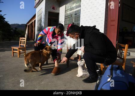 (201218) -- JINZHAI, 18 dicembre 2020 (Xinhua) -- Yu Jiajun visita il suo paziente nella contea di Jinzhai della città di Luan, nella provincia di Anhui della Cina orientale, 16 dicembre 2020. Nel profondo dell'area del bacino idrico di Xianghongdian nella Contea di Jinzhai di Luan City, nella provincia di Anhui, nella Cina orientale, c'è un'isola isolata, che in passato ospita oltre 40 famiglie povere. Yu Jiajun, 42 anni, è l'unico medico del villaggio. 'In passato, non c'era una stazione sanitaria sull'isola. Gli abitanti del villaggio dovevano fare fila per due o tre ore per andare al centro sanitario di Mabu Township per vedere il medico." Yu ha detto. Quando Yu Jiajun tornò alla v Foto Stock