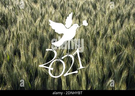 Una colomba bianca porta il numero '2021' su uno sfondo di campi di grano Foto Stock