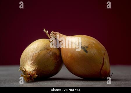 Due cipolle di pelle marrone lucido in studio basso chiave fermo life macro closeup contrastato con uno sfondo rosso scuro e. riflettore atmosferico Foto Stock