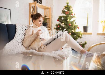 Bevande caffè, libro di lettura vicino albero di Natale con il suo animale domestico. Giovane donna che gode la sua vita domestica. Comfort domestico, concetto di tempo di inverno e di vacanza, atmosfera calda e accogliente, stile di vita, Capodanno. Foto Stock