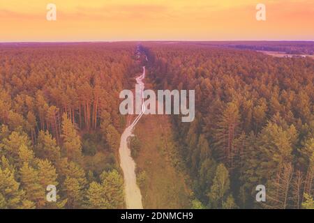 Paesaggio rurale autunno. Strada sterrata nella pineta. Vista aerea Foto Stock