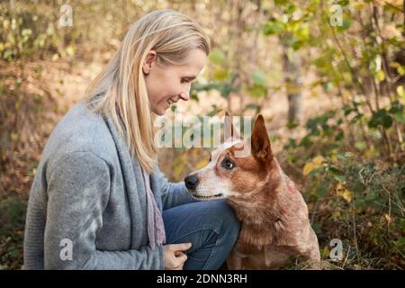 Donna e cane bovino australiano in una foresta. Germania Foto Stock