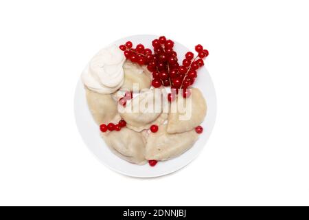 Deliziosi gnocchi con ribes rosso fresco e panna acida, serviti con panna acida, panna montata, frutti di bosco e zucchero o salsa. Su una piastra bianca, tabella Foto Stock