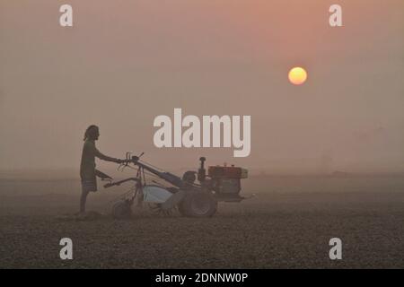 Sujla-Sufla Shasya-Shyamla è un Bangladesh meraviglioso. Si chiama terra delle cospirazioni. Questa varietà stagionale rende il Bangladesh decorato con DIF Foto Stock