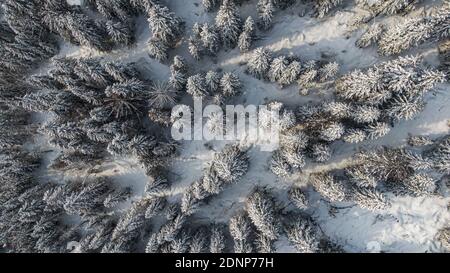 Foresta invernale con alberi innevati, vista aerea. Natura invernale, paesaggio aereo con fiume ghiacciato, alberi coperti di neve bianca Foto Stock