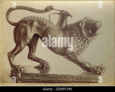 The Etruscan Chimera of Arezzo, National Archaeological Museum, Florence, donation of the Ballheimer family, Hamburg, albumin paper, black and white positive process, image size: height: 18.20 cm; width: 24.50 cm, FIRENZE - R. Museo Archeologico Sezione Etrusca. Chimera. (Bronzo), lion (predator), sculpture, sculpture, sculpture art, snakes Stock Photo