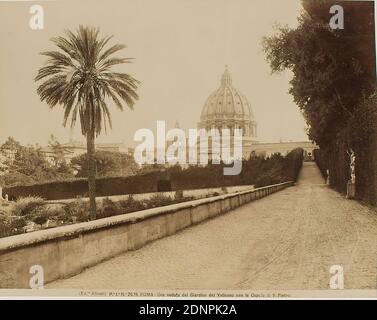 Vista dai giardini del Vaticano alla cupola di San Pietro, Roma, carta albumina, processo positivo in bianco e nero, dimensioni immagine: Altezza: 19.50 cm; larghezza: 24.80 cm, ROMA - una veduta del Giardino del Vaticano con la cupola di San Pietro, fotografia di viaggio, fotografia architettonica, giardini e parchi, cupola (architettura), esterno di una chiesa, città, vista città (veduta), edificio storico, località, strada, palme, Città del Vaticano Foto Stock