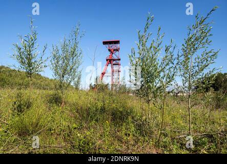 Evin-Malmaison (northern France): peat head “fosse n°8 - 8 bis” known as Emile Cornuault reinstalled in 1961 on the coal mine of the Nord-Pas-de-Calai Stock Photo