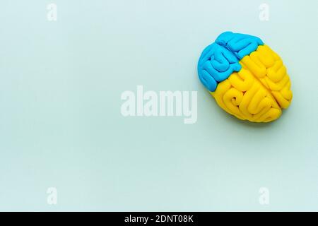 Modello di argilla del cervello umano. Salute mentale Bckground, vista dall'alto Foto Stock