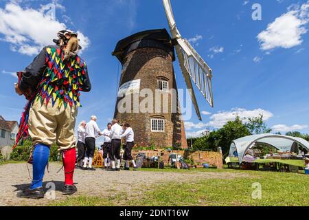 Cervo a Bradgate Park, Leicestershire, Inghilterra Foto Stock