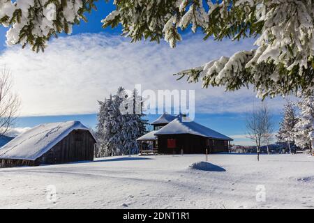 Inverno a Pestera Village. Paesaggio rurale nei Carpazi, Romania.
