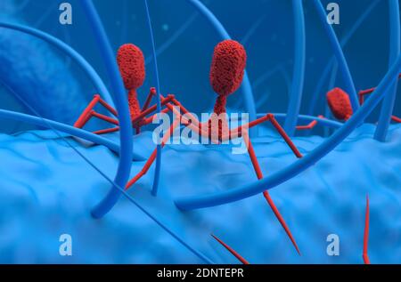 I virus batteriofagici attaccano i batteri 3d rendono l'illustrazione Foto Stock