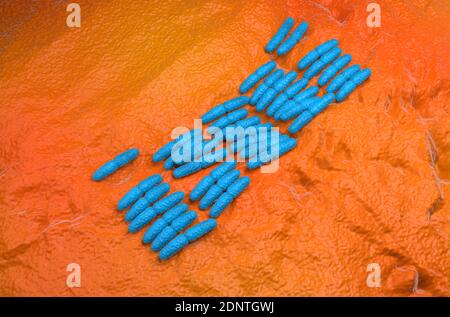 Pseudomonas aeruginosa batteri 3d rappresentazione illustrazione Foto Stock