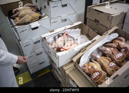 Il pollame è visto al mercato internazionale di Rungis, Parigi meridionale, il 18 dicembre 2020. Foto di ELIOT BLONDT/ABACAPRESS.COM Foto Stock