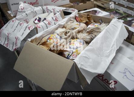 Il pollame è visto al mercato internazionale di Rungis, Parigi meridionale, il 18 dicembre 2020. Foto di ELIOT BLONDT/ABACAPRESS.COM Foto Stock