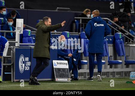 Da sinistra a destra allenatore Manuel BAUM (GE), coach NALDO (GE), calcio 1 Bundesliga, 12 ° giorno di partita, FC Schalke 04 (GE) - SC Freiburg (FR) 0: 2, il 16 dicembre 2020 a Gelsenkirchen/Germania. LE NORMATIVE DFL VIETANO QUALSIASI USO DI FOTOGRAFIE COME SEQUENZE DI IMMAGINI E/O QUASI-VIDEO.SOLO PER USO EDITORIALE. NESSUNA VENDITA SECONDARIA (RI-) ENTRO 48 ORE DOPO IL KICK-OFF. Solo per scopi giornalistici! Agenzie di stampa nazionali e internazionali NON RIVENDONO! | utilizzo in tutto il mondo Foto Stock