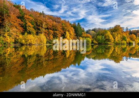 Umore autunnale all'Haarsee, vicino a Weilheim, Pfaffenwinkel, Foreland Alpina, alta Baviera, Baviera, Germania, Europa Foto Stock