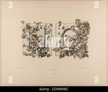 Gerlach & Schenk, Martin Gerlach, Rommel & Co, XIII N o iniziale con ventilatore e ginkgo - spina, rowan e frutti, Staatliche Landesbildstelle Amburgo, collezione sulla storia della fotografia, carta, collotipo, dimensione del foglio: Altezza: 40.10 cm; larghezza: 32.10 cm, iscrizione: Recto: Verposlag Gerlach & Schenin, Vienna. Gerlach, Festons e gruppi decorativi, collotipo Rommel & Co. A Stoccarda. Numerazione, Landesbildstelle, manoscritto inv. No, fotografia, piante ed erbe, ornamenti di piante, lettere, alfabeto, scrittura, alberi, arbusti Foto Stock