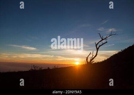 Vista dalla cima del cratere di Ijen Foto Stock