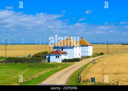 Agriturismi e pascolo, campi mature weaht e vento fattoria nel Distanza vista da Lydd strada vicino al villaggio di Camber, Little Cheyne Court Wind Farm Beyond.UK Foto Stock