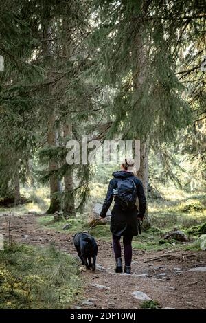 Vista posteriore della donna che cammina con il cane attraverso la foresta Foto Stock