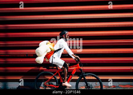 Corriere bicicletta offrendo un orsacchiotto passando attraverso una parete rossa Foto Stock