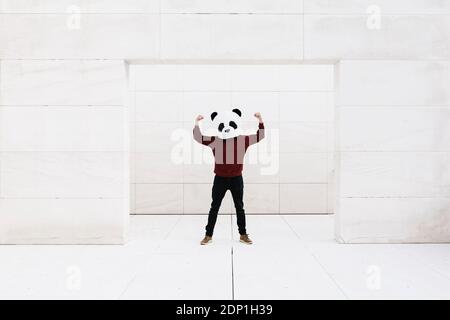 Uomo che indossa la maschera di panda che flette i muscoli mentre si trova alla porta contro parete bianca Foto Stock