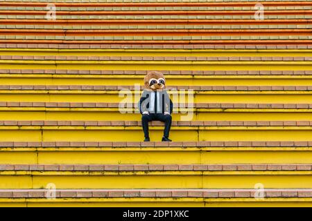 Uomo d'affari in abito nero con maschera mierkat seduta sulle scale Foto Stock