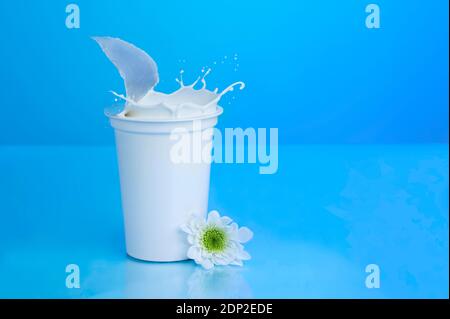 Una tazza generica di yogurt bianco, di plastica su sfondo blu con un fiore bianco; spruzzi di yogurt Foto Stock