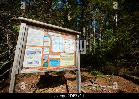 Il bordo di rimbalzo del rimorchio. Sul Furth Talalay Blue Hill Heritage Trust Trail a Surry, Maine. Foto Stock