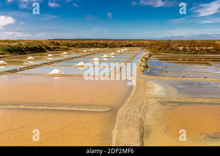 Guerande in Bretagna, panorama delle paludi saline Foto Stock